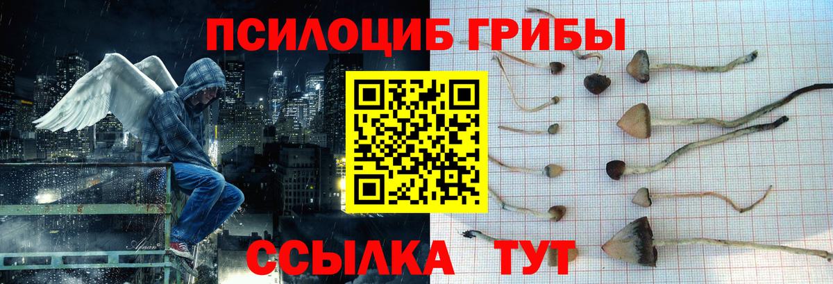 Удомля  Галлюциногенные грибы Psilocybine cubensis  Галлюциногенные грибы прущие грибы  Вход с VPN 
