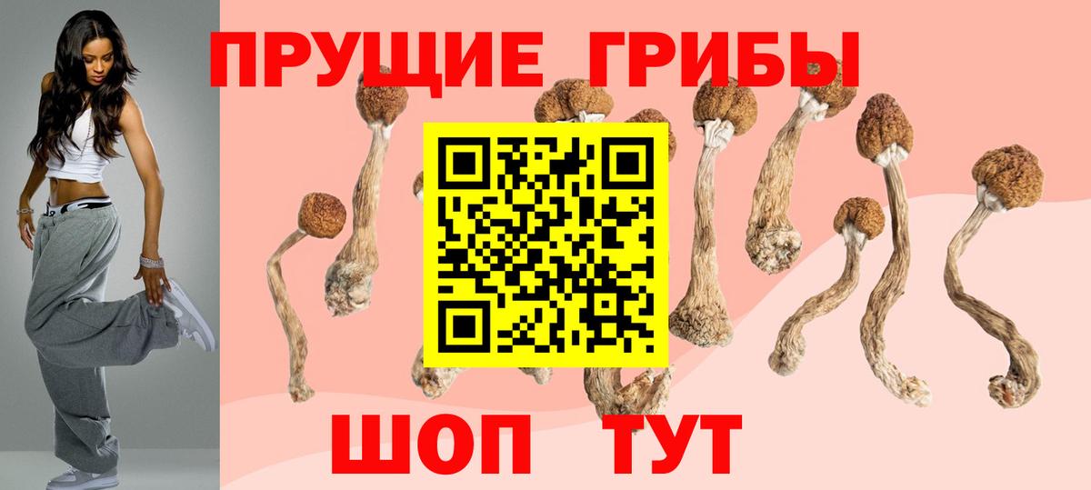 Псилоцибиновые грибы Magic Shrooms Удомля