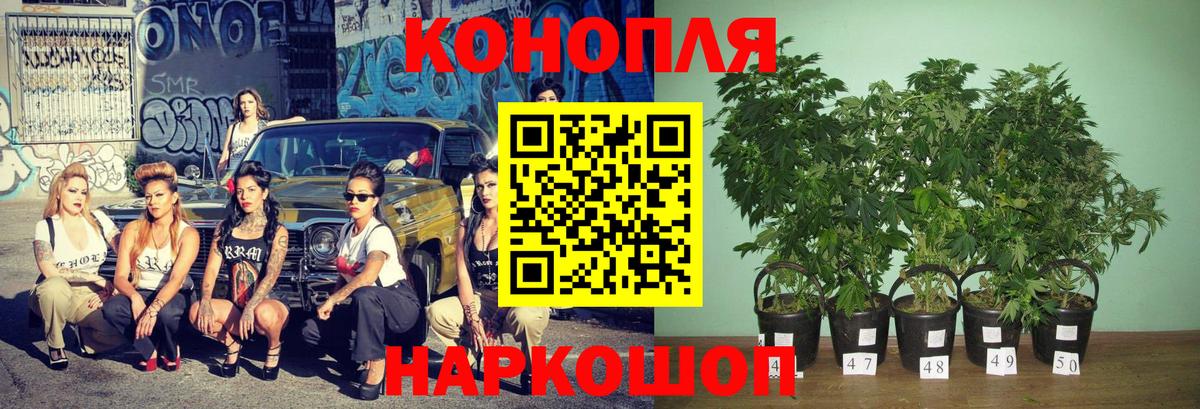 Удомля  Шишки марихуана OG Kush  МАРИХУАНА план  Шишки марихуана Ganja  Вход с VPN 
